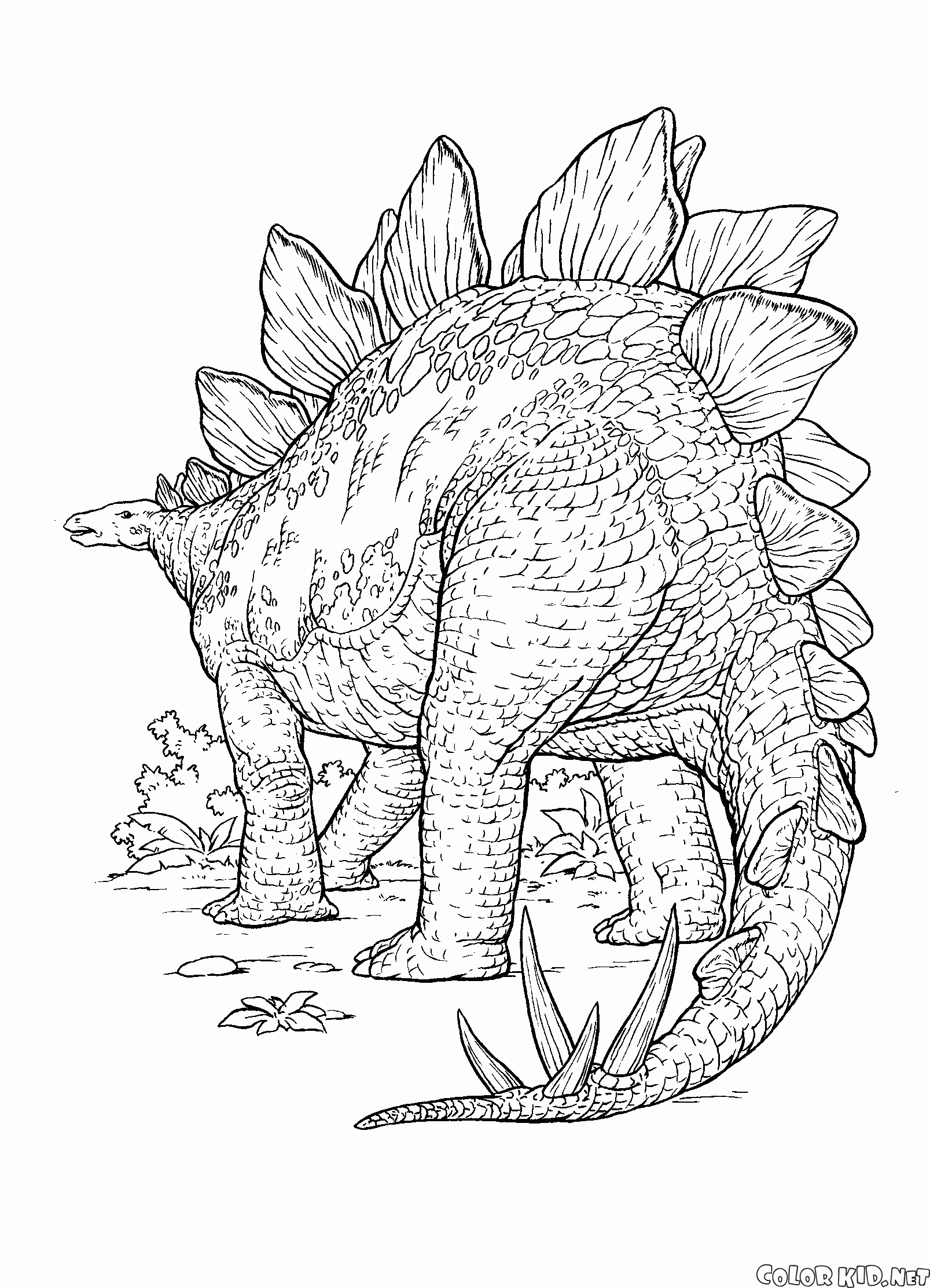 Dinosaur with sharp thorns