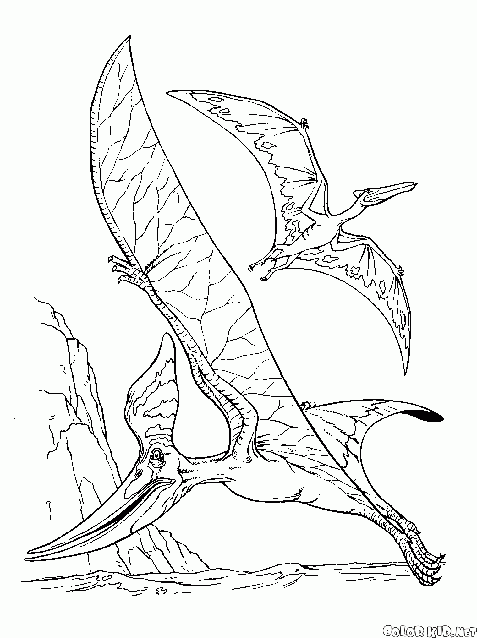 Coloring page - Pteranodon and a pterodactyl