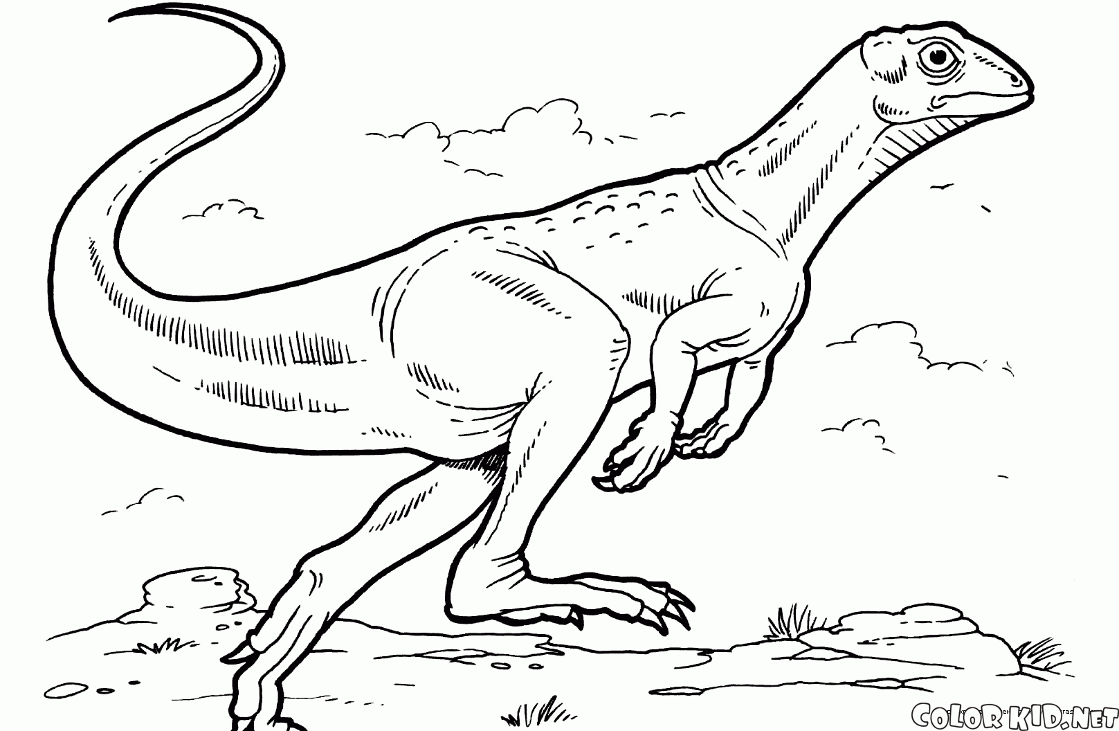 Lesothosaurus 
