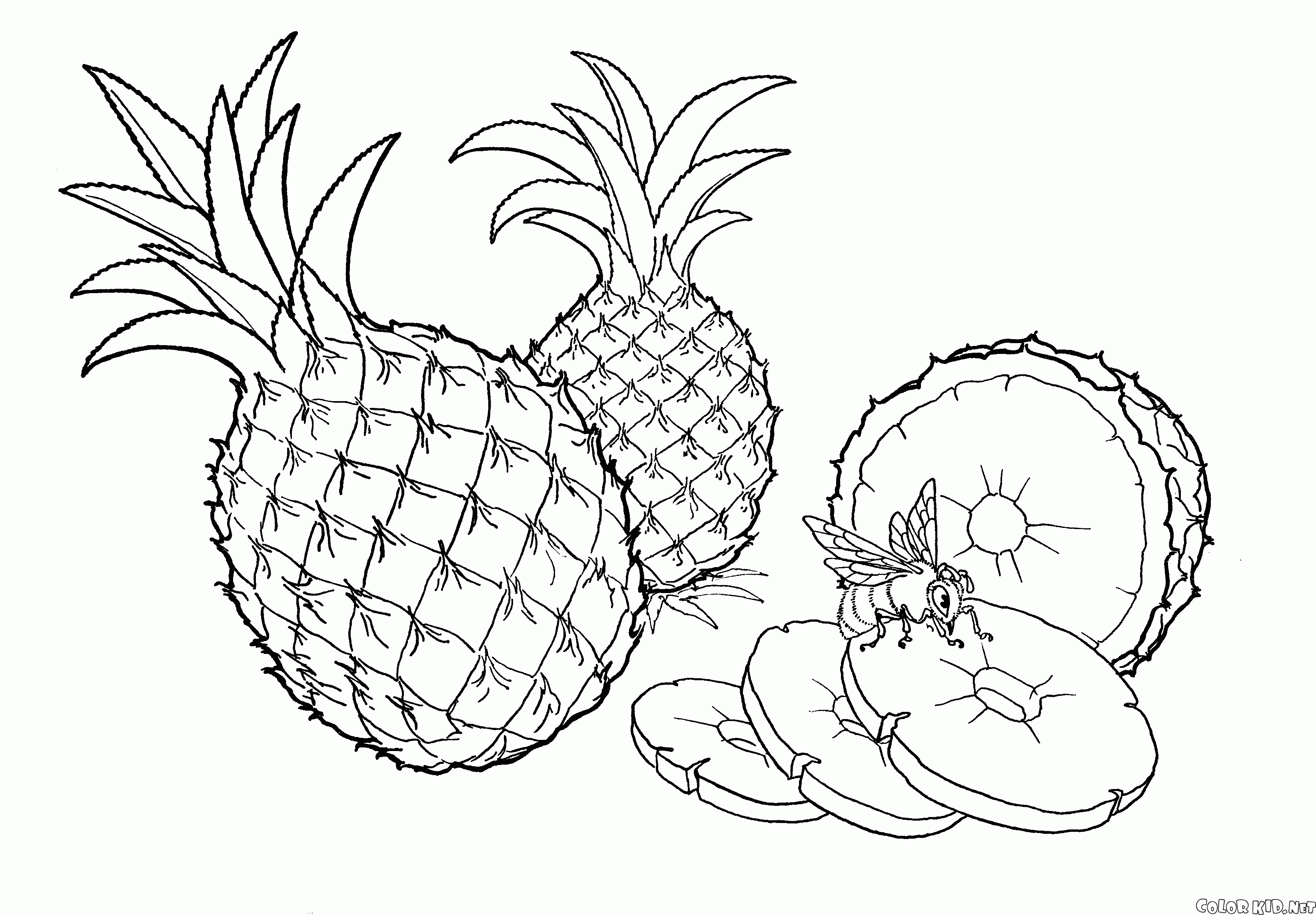 Natural Pineapple
