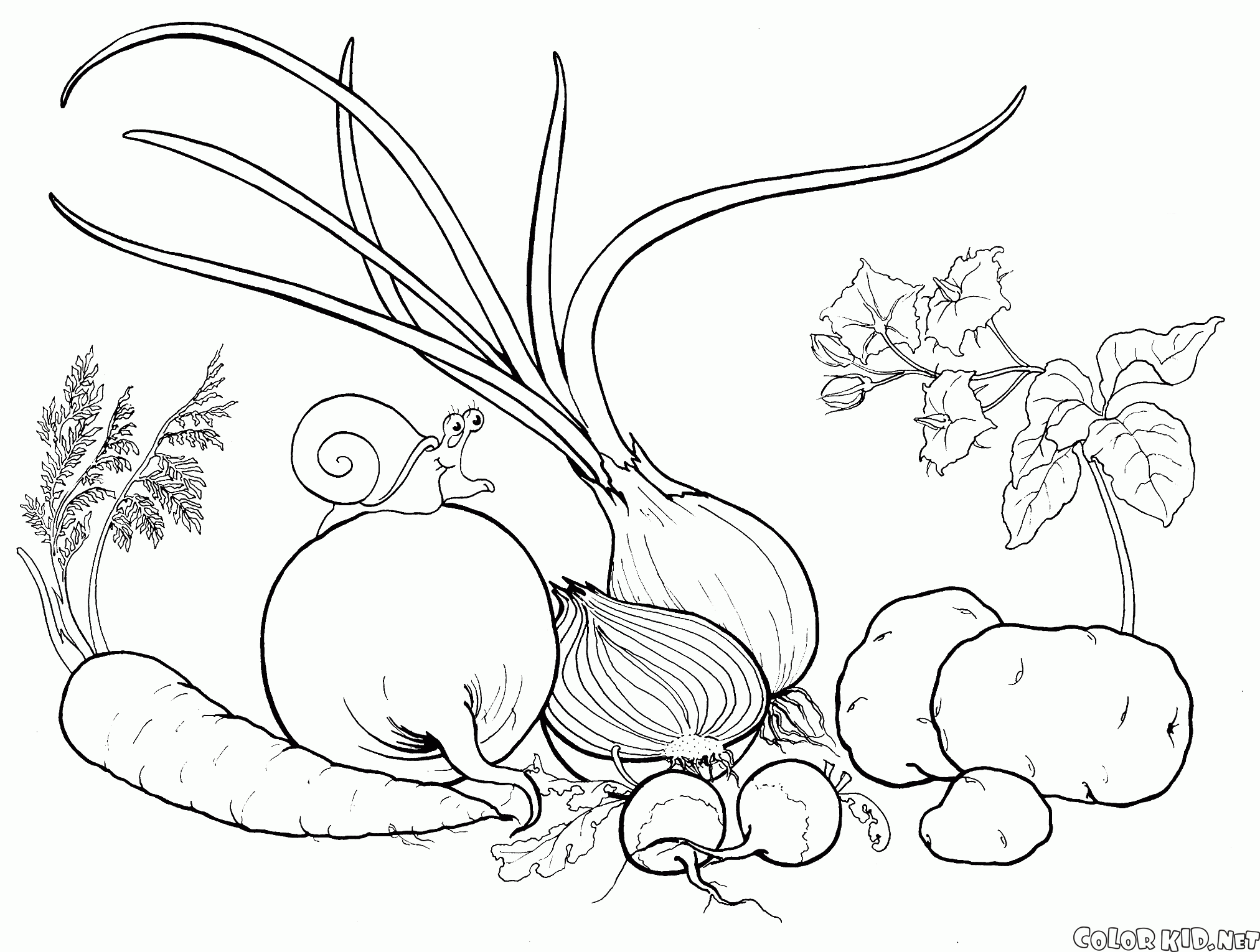 Coloring page Vegetables from the garden
