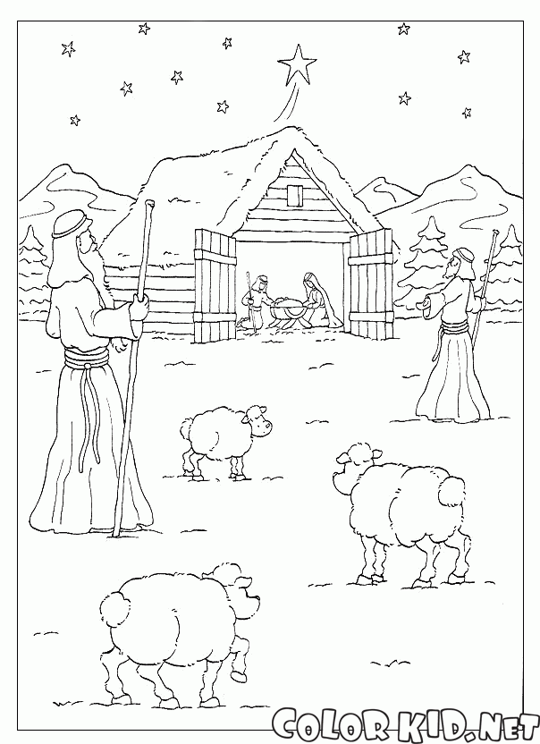 Shepherds of Jesus