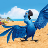 Rio