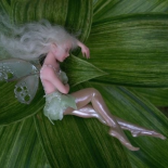 Elves and fairies