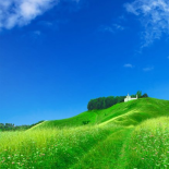 Seasons: Summer
