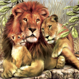 Wild animals