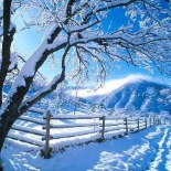 Seasons: Winter