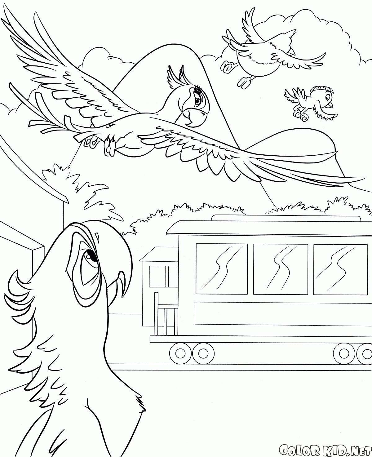 Coloring page - Rio