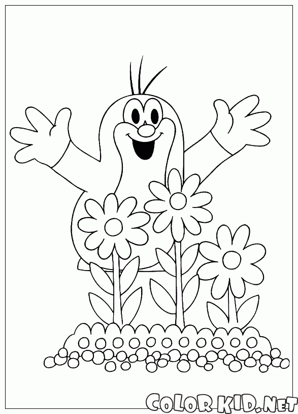 Coloring page - Krtek