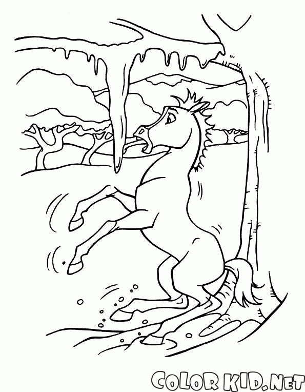 Download Coloring page - Spirit: Stallion of the Cimarron