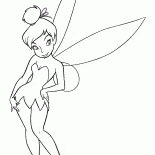 Fairy