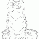 Little Hawk - Hannah