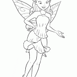 Fairy Rosetta