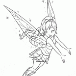 Animal Fairy