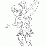 Merry Fairy