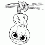 Pear Bear