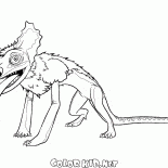Lizard
