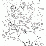 Wolves attack