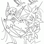 Fairy and flowers