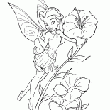 Garden fairy Rosetta