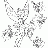 Light fairy Iridessa