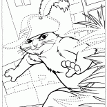 Puss in Boots on the hunt