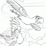 Flying parrots
