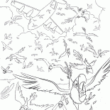 High-altitude flights