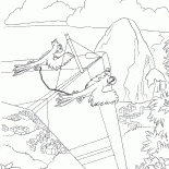 Hang-glider