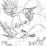Chasing a bird