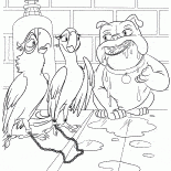 Parrots and Luiz