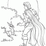 Forest bunny
