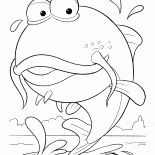 Big fish