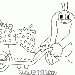 Mole and strawberries