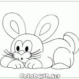 Little Rabbit