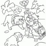 Dogs surround