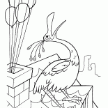 The bird on the roof