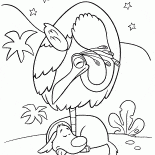 Bird and Dog