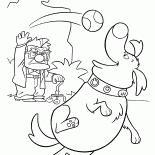 Doug likes the ball