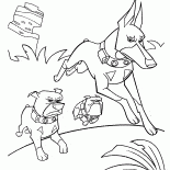 Three dogs