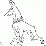 The electric collar on the dog