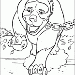 Big dog