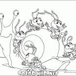 Riding the snail