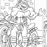 Michelangelo and motorcycle