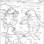 Lars and seals
