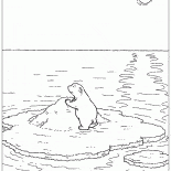 One on an ice floe