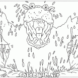 Scary hippo