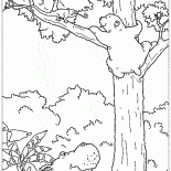 Lars and the chameleon