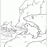 Orca saved Lars