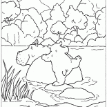 Bear Lars